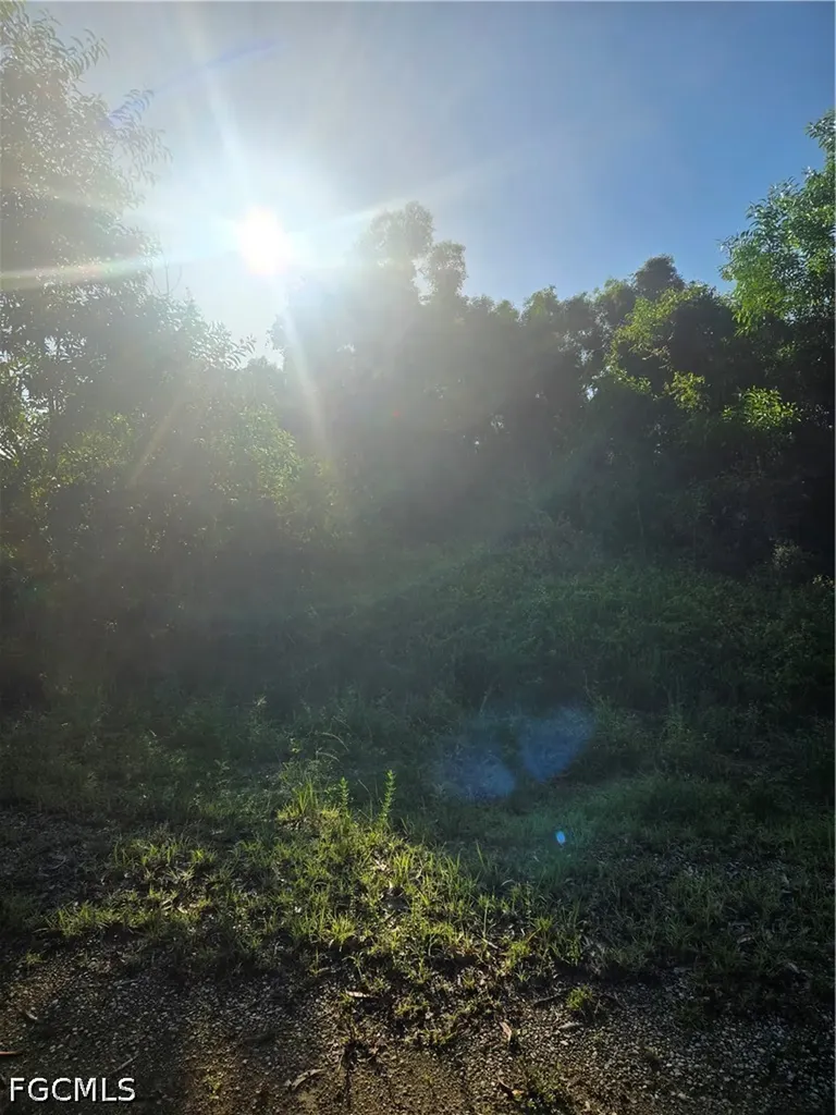 Lehigh Acres FL 33971