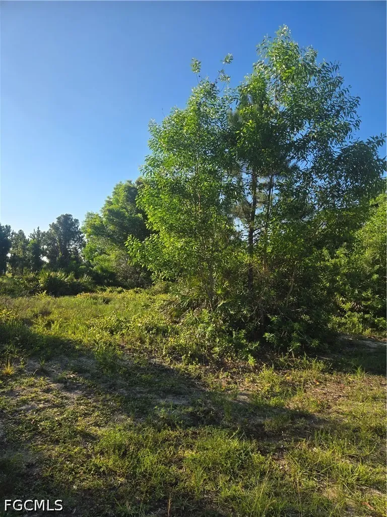 Lehigh Acres FL 33971