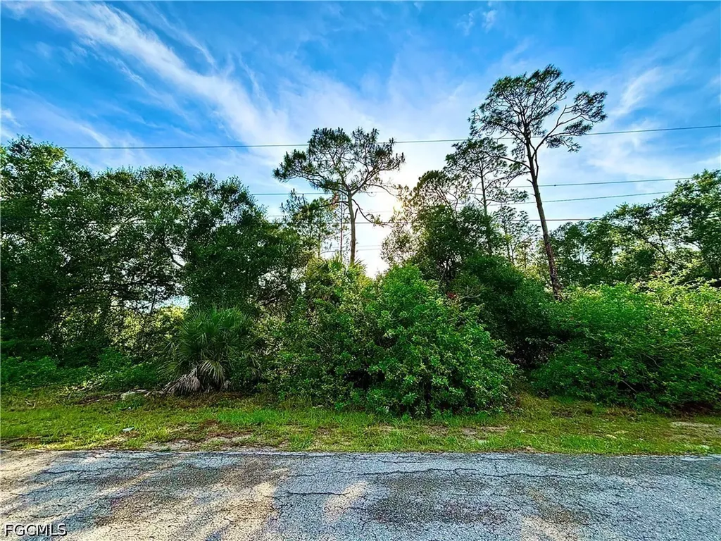 907 Fitch Avenue Lehigh Acres FL 33972