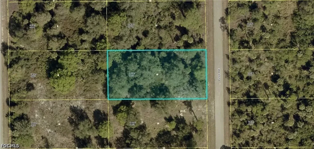 907 Fitch Avenue Lehigh Acres FL 33972