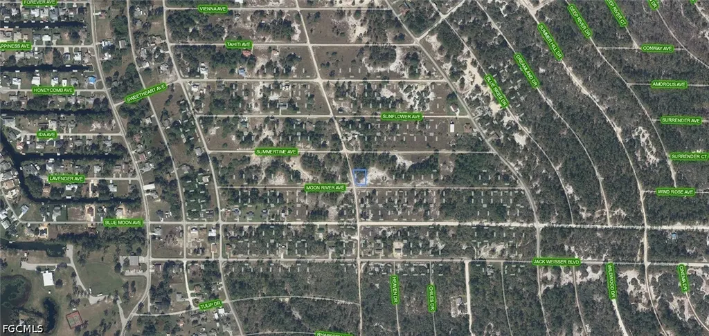 300 Moon River Avenue Lake Placid FL 33852
