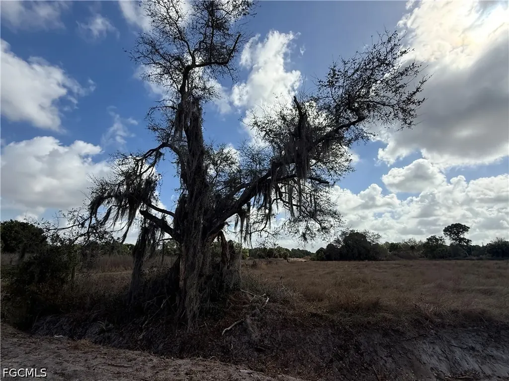 235 & 225 S Arboleda Street Clewiston FL 33440