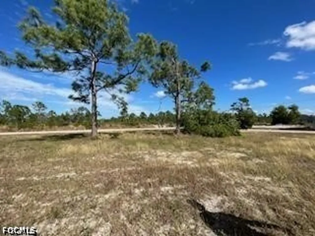 1720 Jacaranda Parkway W Cape Coral FL 33993
