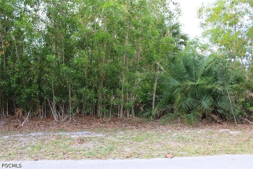 4416 Lake Heather Circle St. James City FL 33956