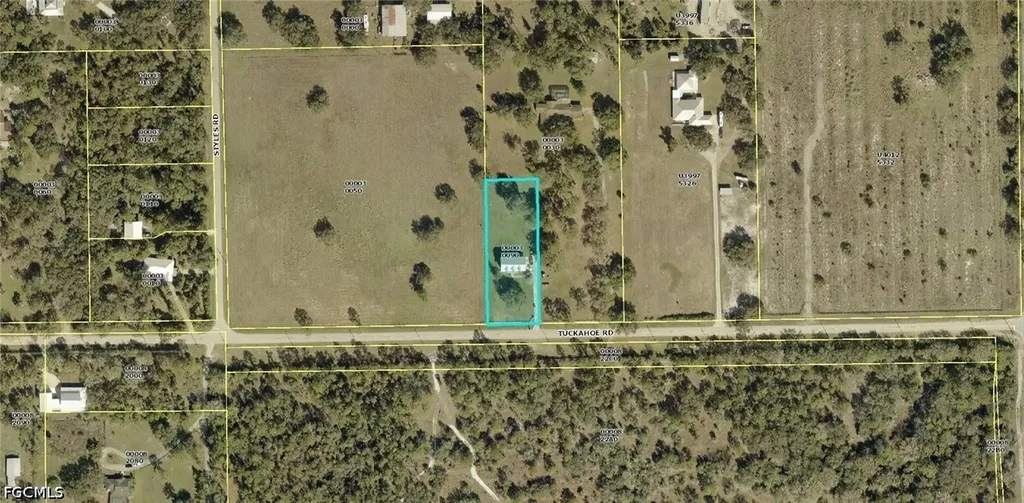 21651 Tuckahoe Road Alva FL 33920