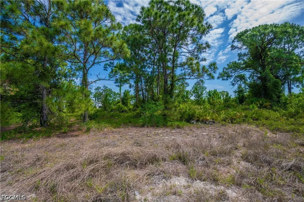 849 Campbell Street E Lehigh Acres FL 33974