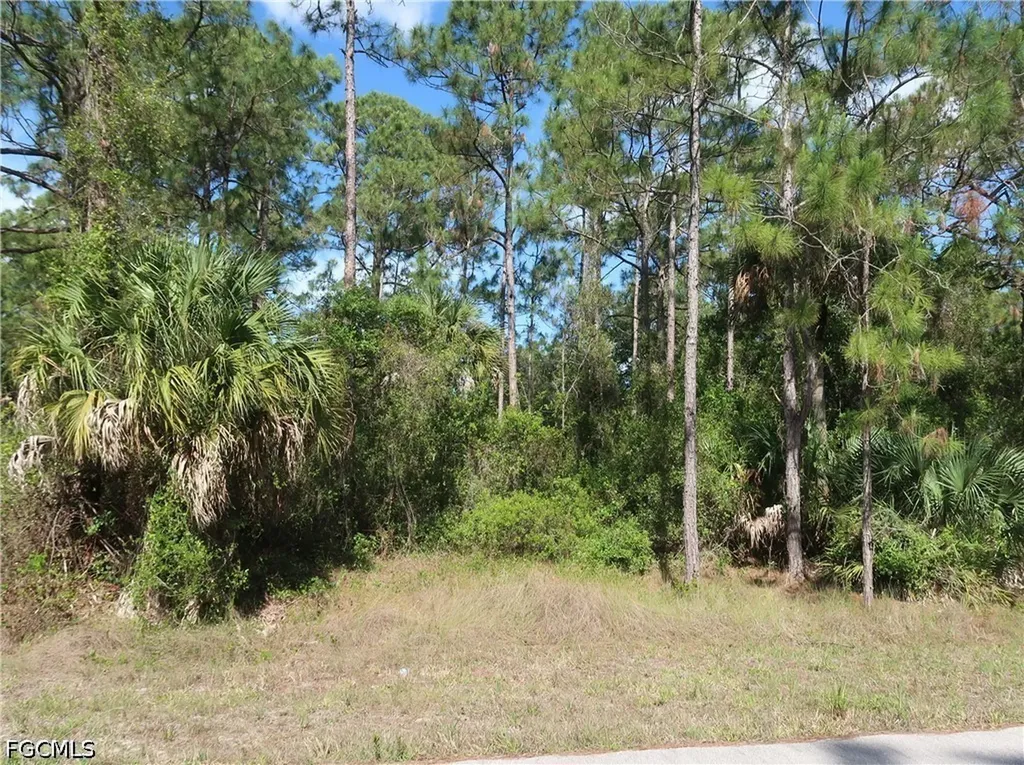 1667 Lake Avenue Lehigh Acres FL 33972