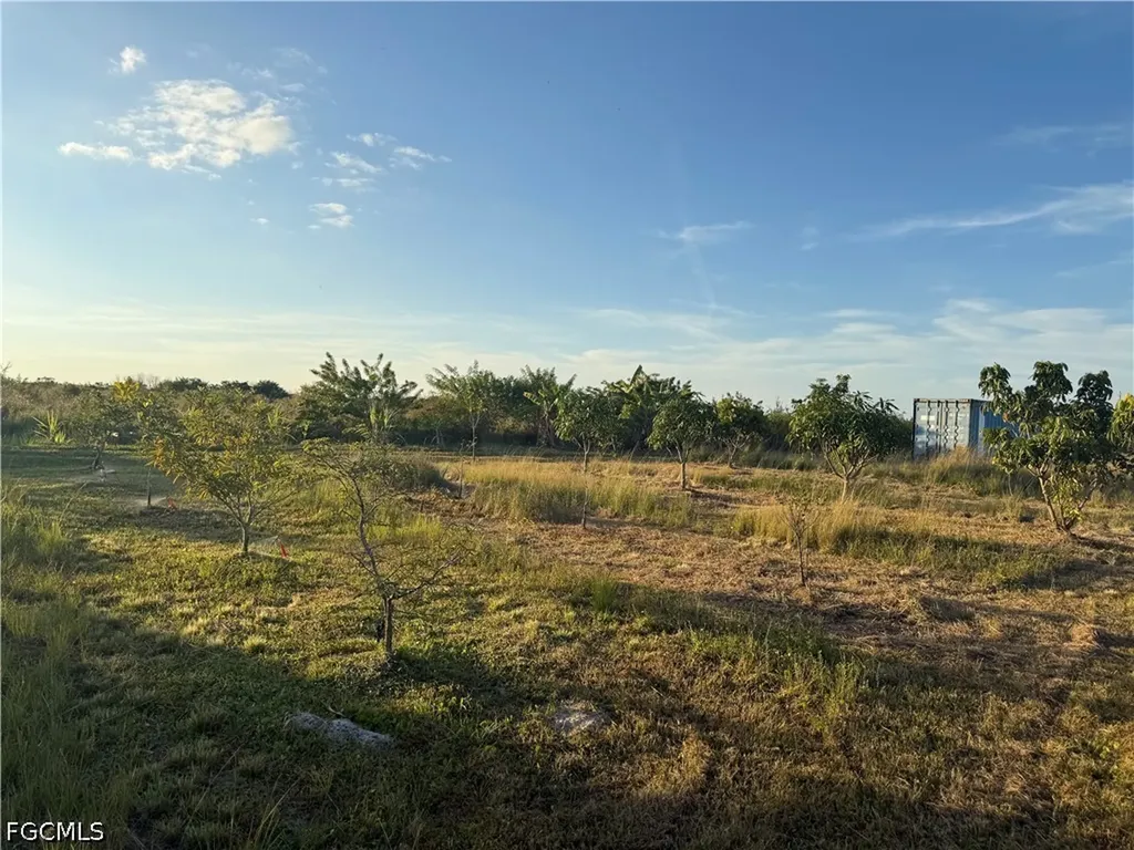 6724 5th Road Labelle FL 33935