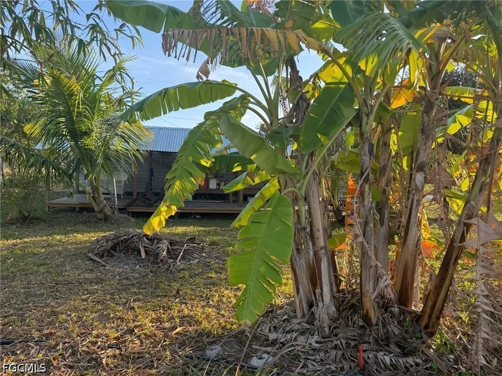 6724 5th Road Labelle FL 33935