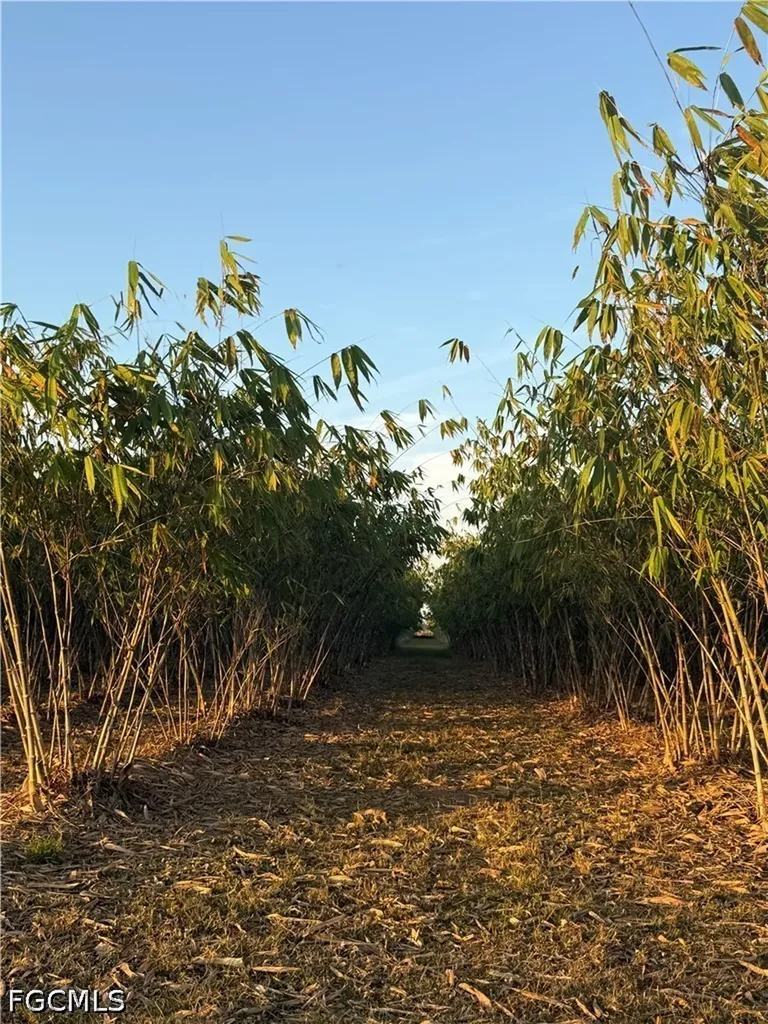 6724 5th Road Labelle FL 33935