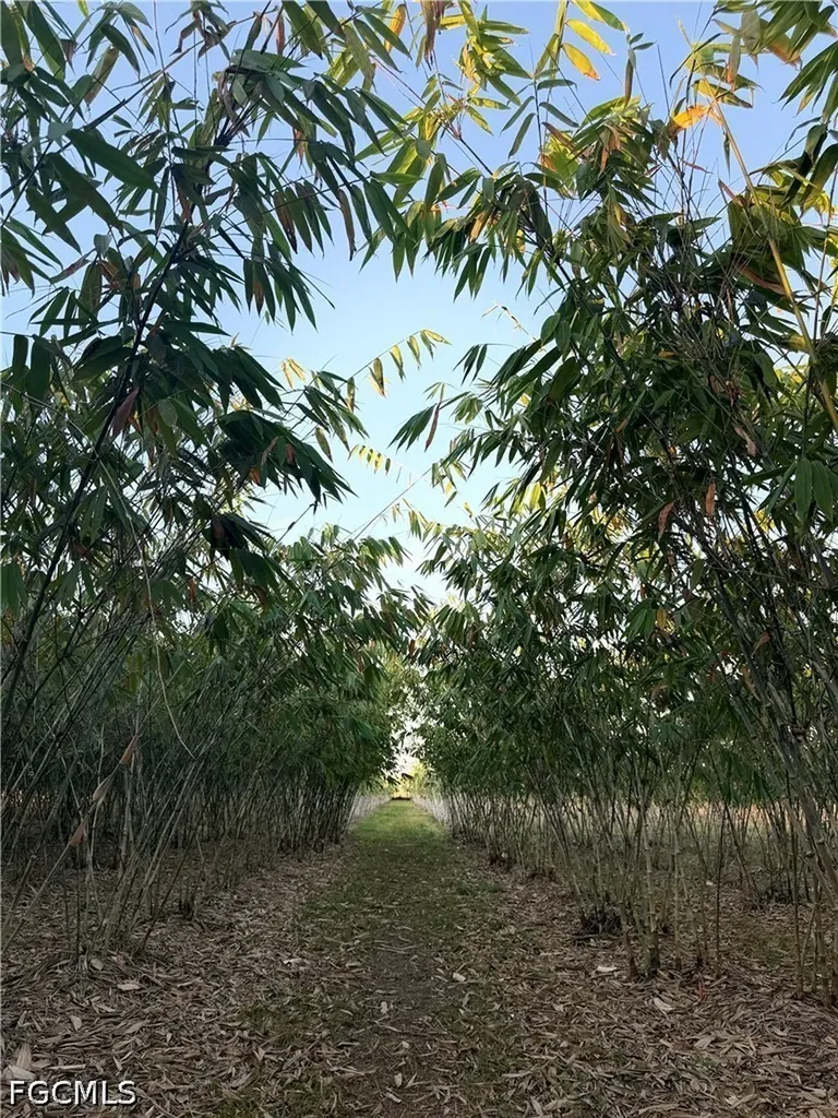 6724 5th Road Labelle FL 33935