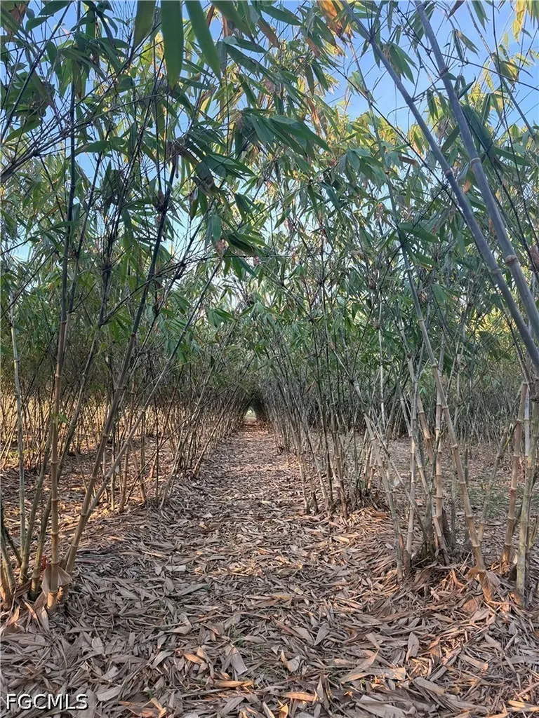 6724 5th Road Labelle FL 33935