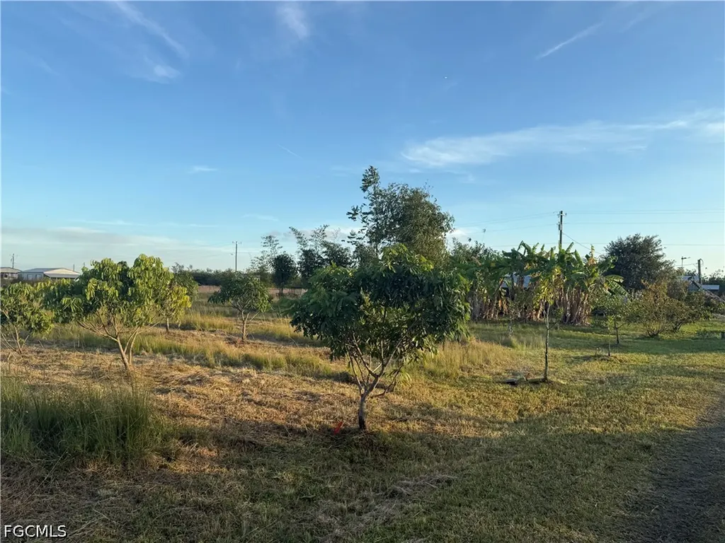 6724 5th Road Labelle FL 33935