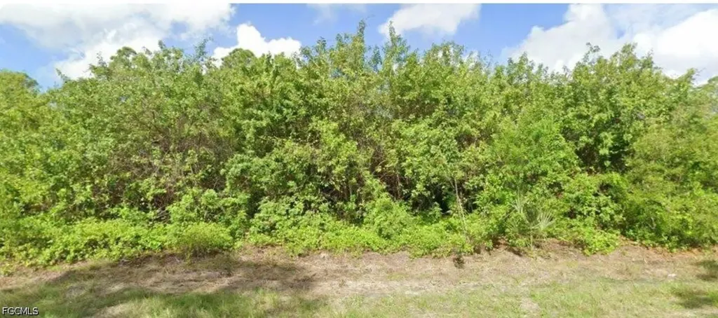1165 Agnew Street Port Charlotte FL 33980