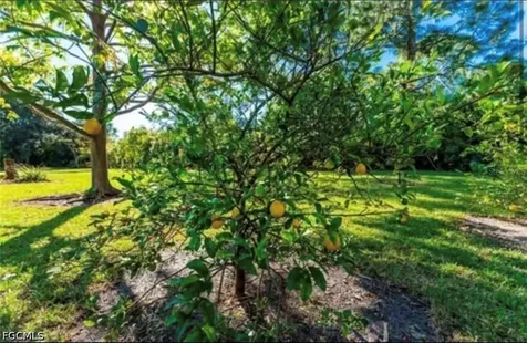 25271 Roland Lane Punta Gorda FL 33955