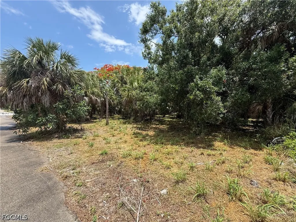 27815 Lime Street Bonita Springs FL 34135
