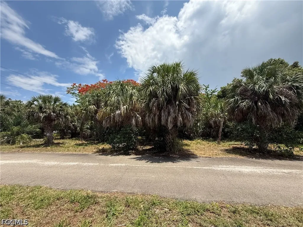 27815 Lime Street Bonita Springs FL 34135