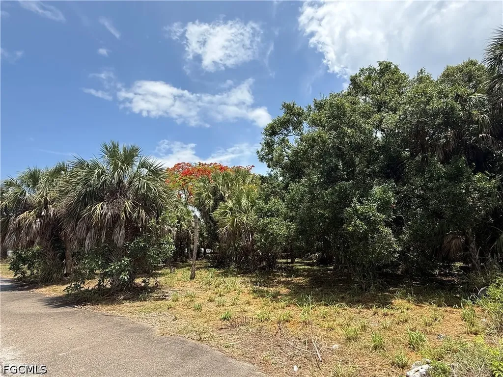 27815 Lime Street Bonita Springs FL 34135