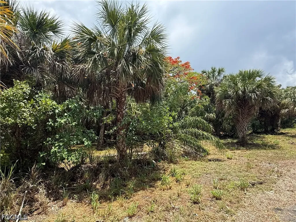 27815 Lime Street Bonita Springs FL 34135