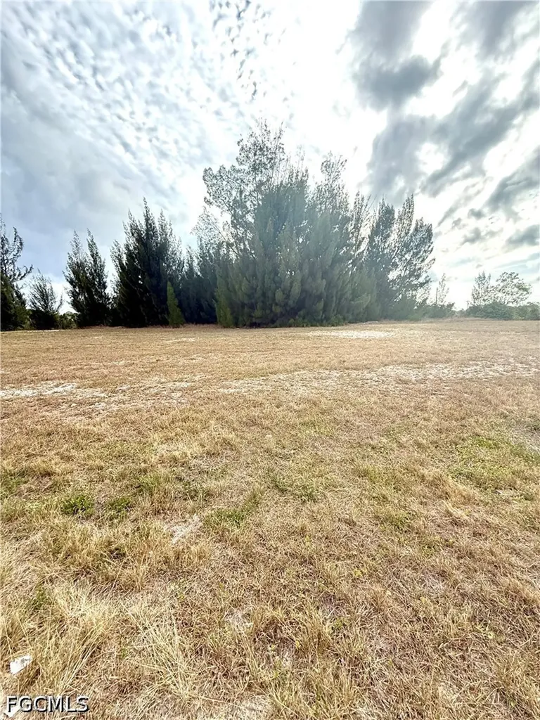 3644 NE 9th Place Cape Coral FL 33909