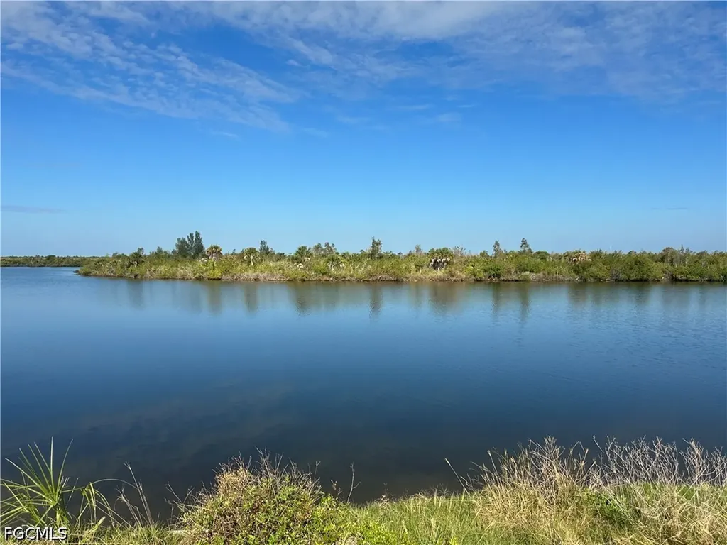 3442 NW 46th Place Cape Coral FL 33993