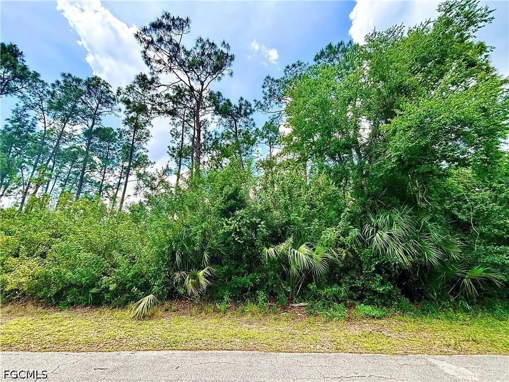 207 Robert Avenue Lehigh Acres FL 33936
