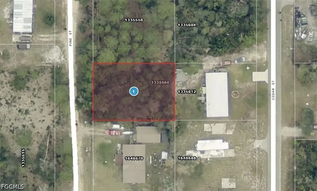 14-17-28-0200-009-01400 Pine Street Paisley FL 32767