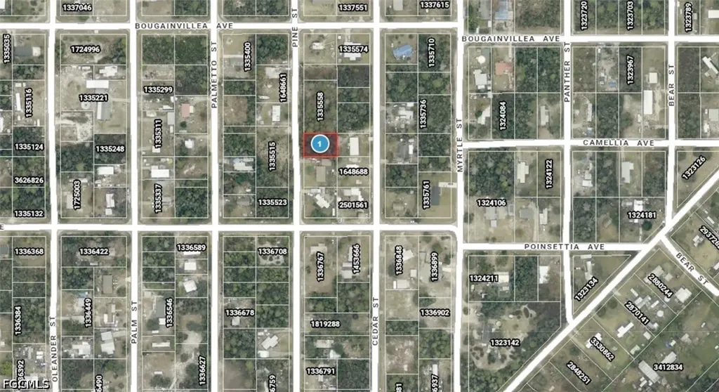 14-17-28-0200-009-01400 Pine Street Paisley FL 32767