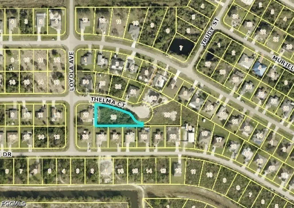 441 Thelma Court Lehigh Acres FL 33972