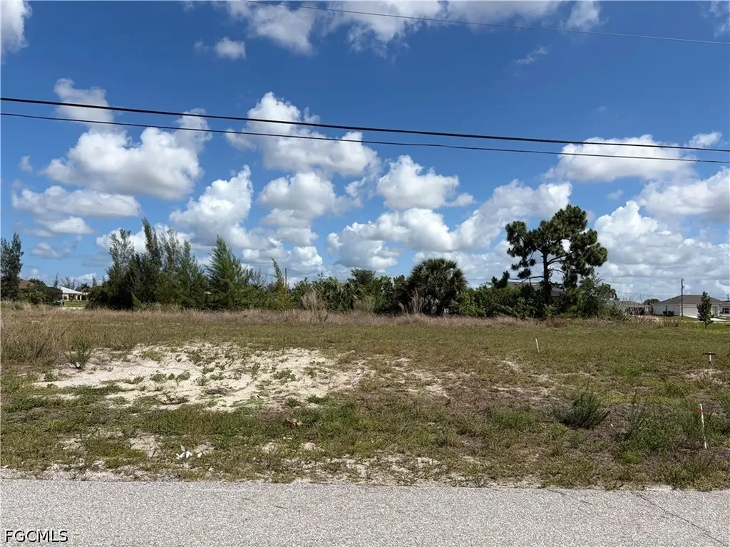 2011 NW 17th Street Cape Coral FL 33993
