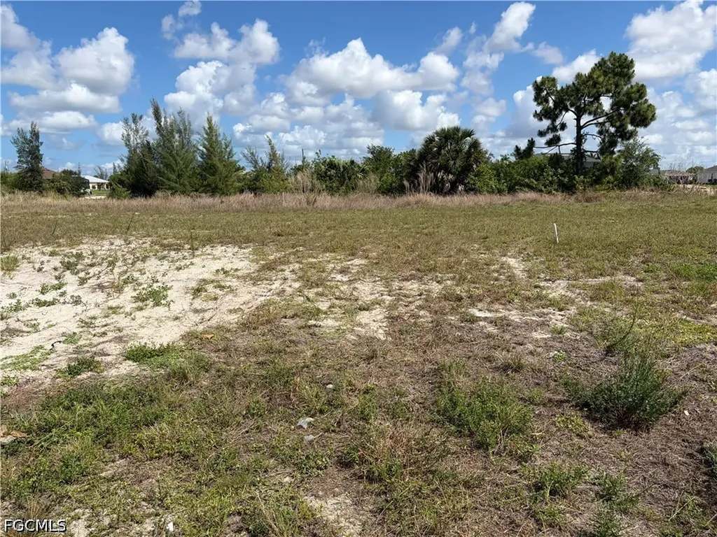 2011 NW 17th Street Cape Coral FL 33993