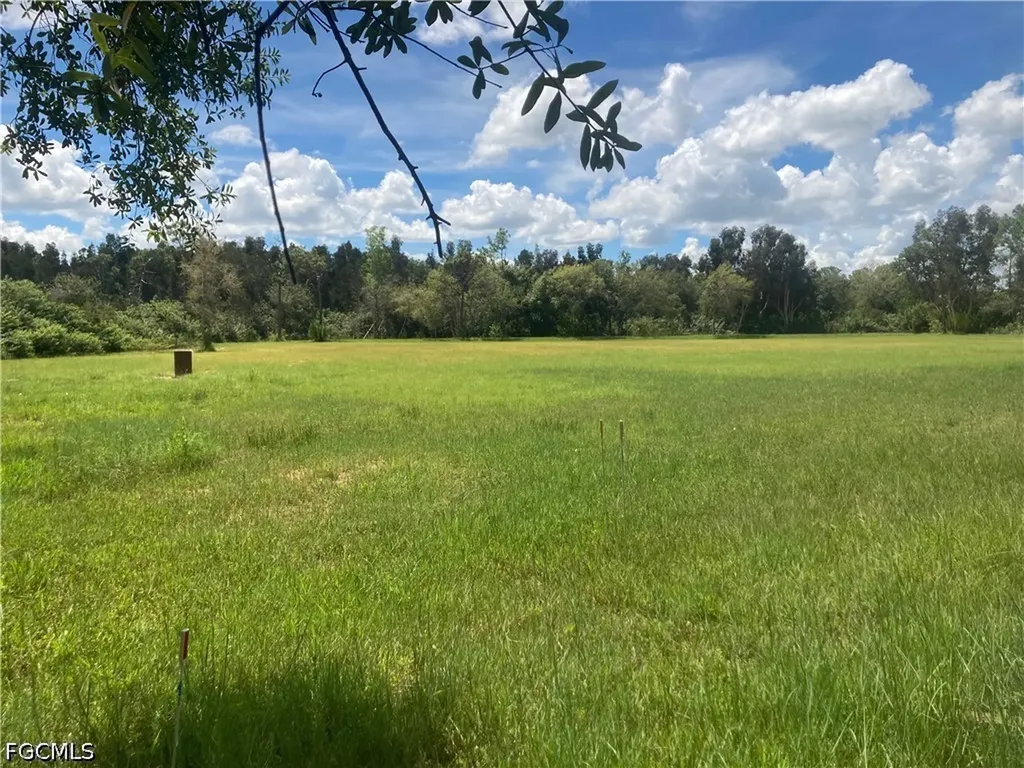41601 Horseshoe Road Punta Gorda FL 33982