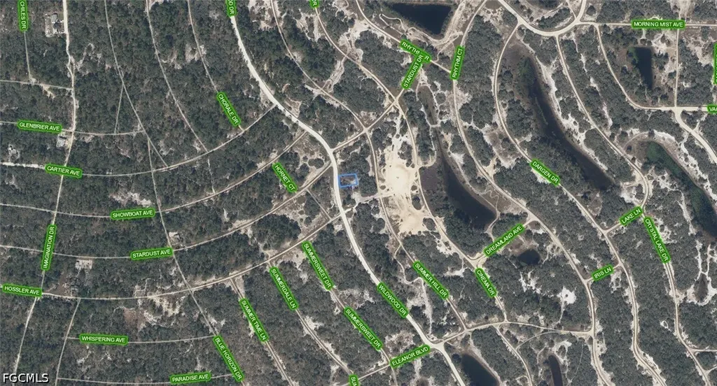 333 Wildwood Drive Lake Placid FL 33852
