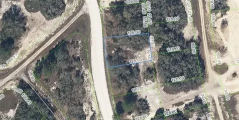 333 Wildwood Drive Lake Placid FL 33852