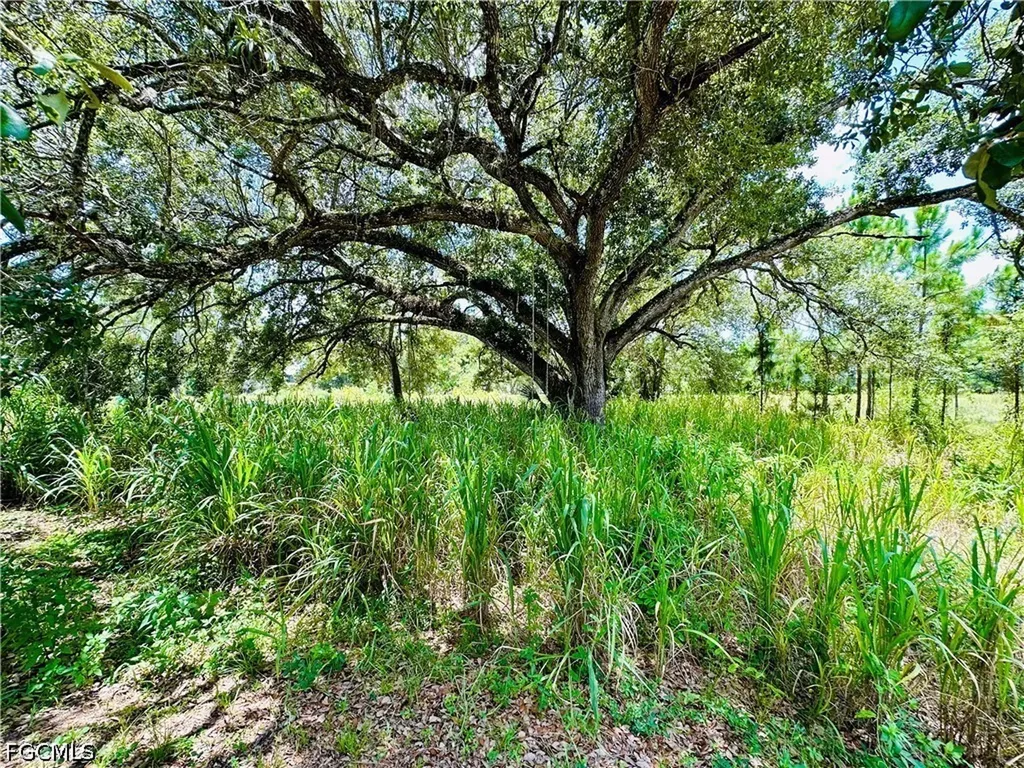 4743 14th Street SW Lehigh Acres FL 33973