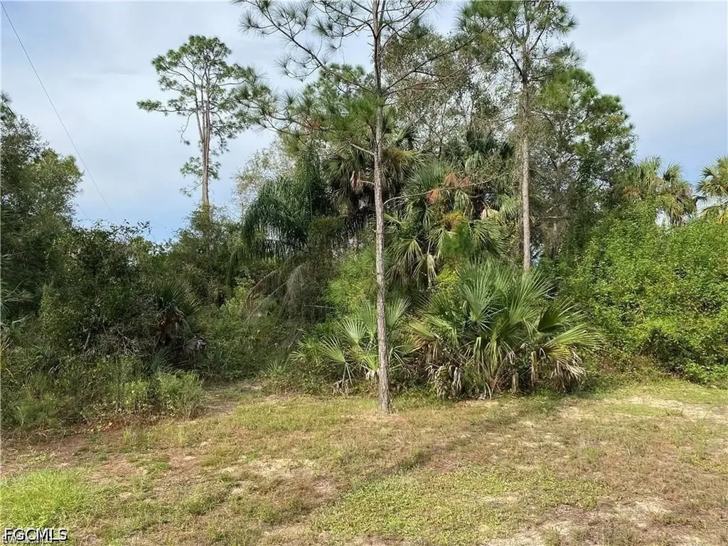 2905 Ashburn Street Lehigh Acres FL 33972