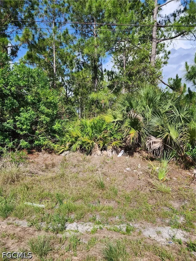 1016 Rush Avenue Lehigh Acres FL 33972