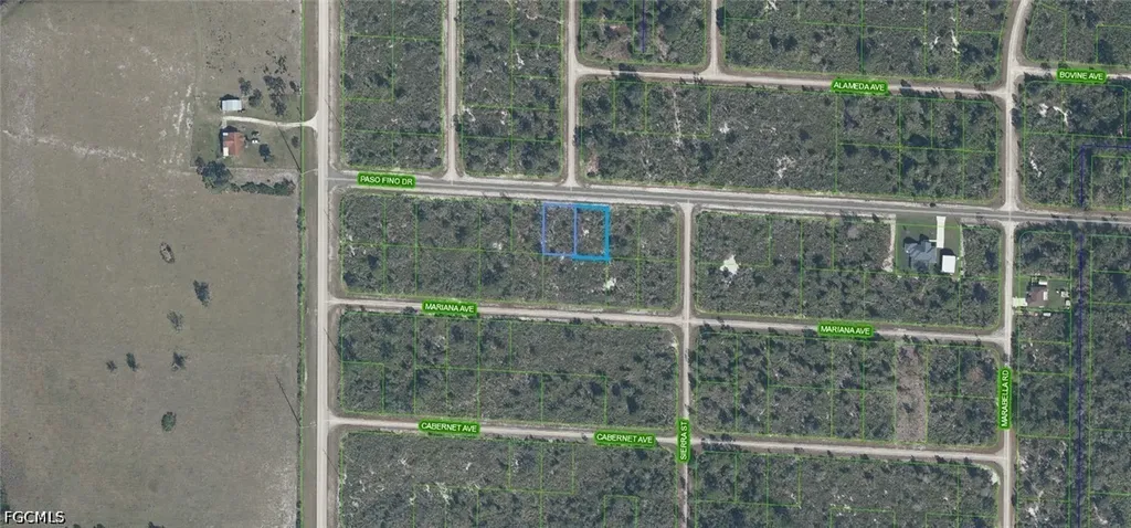 3546 & 3544 Paso Fino Drive Lake Placid FL 33852