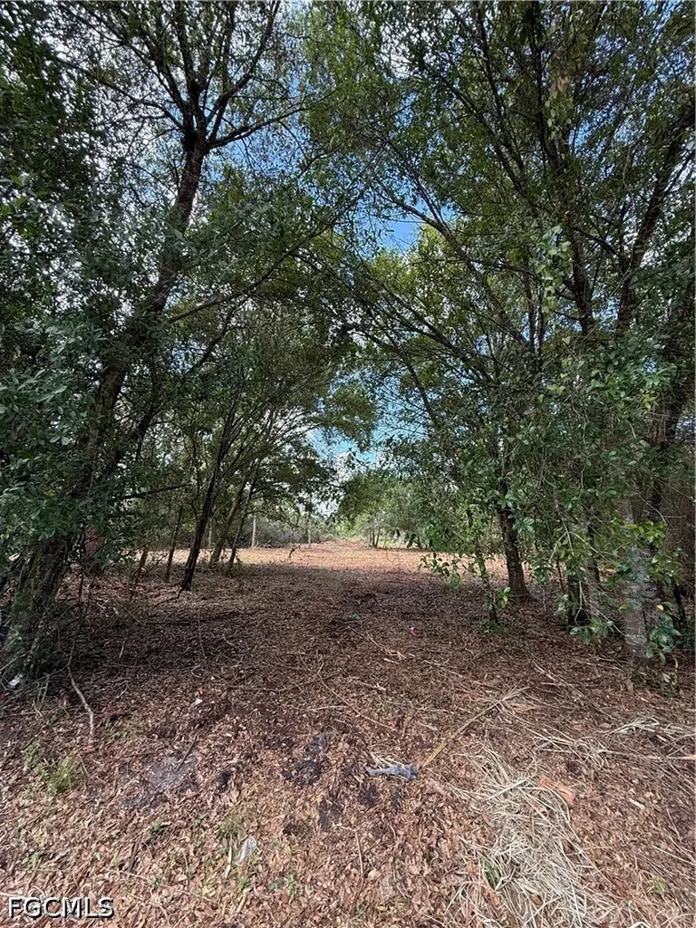 858 Woodland Boulevard Clewiston FL 33440