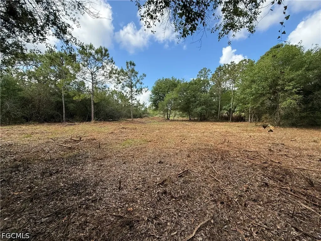 858 Woodland Boulevard Clewiston FL 33440