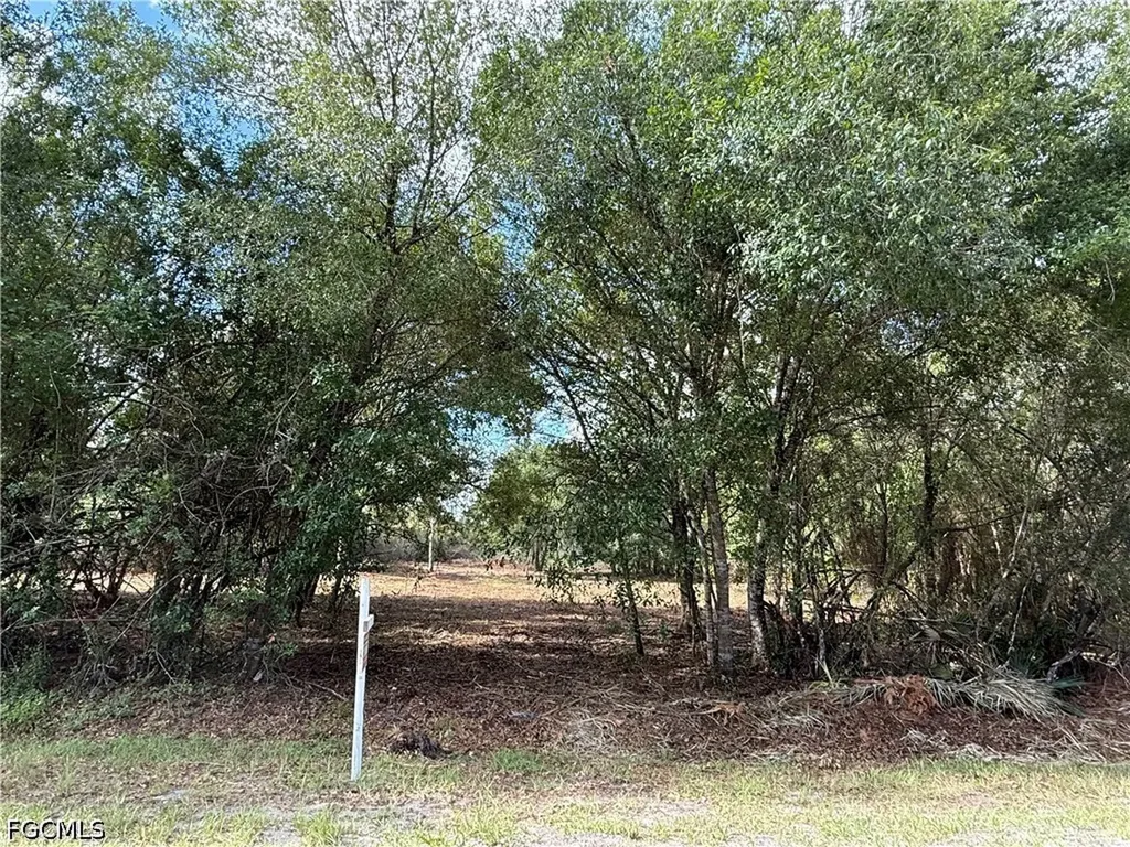 858 Woodland Boulevard Clewiston FL 33440