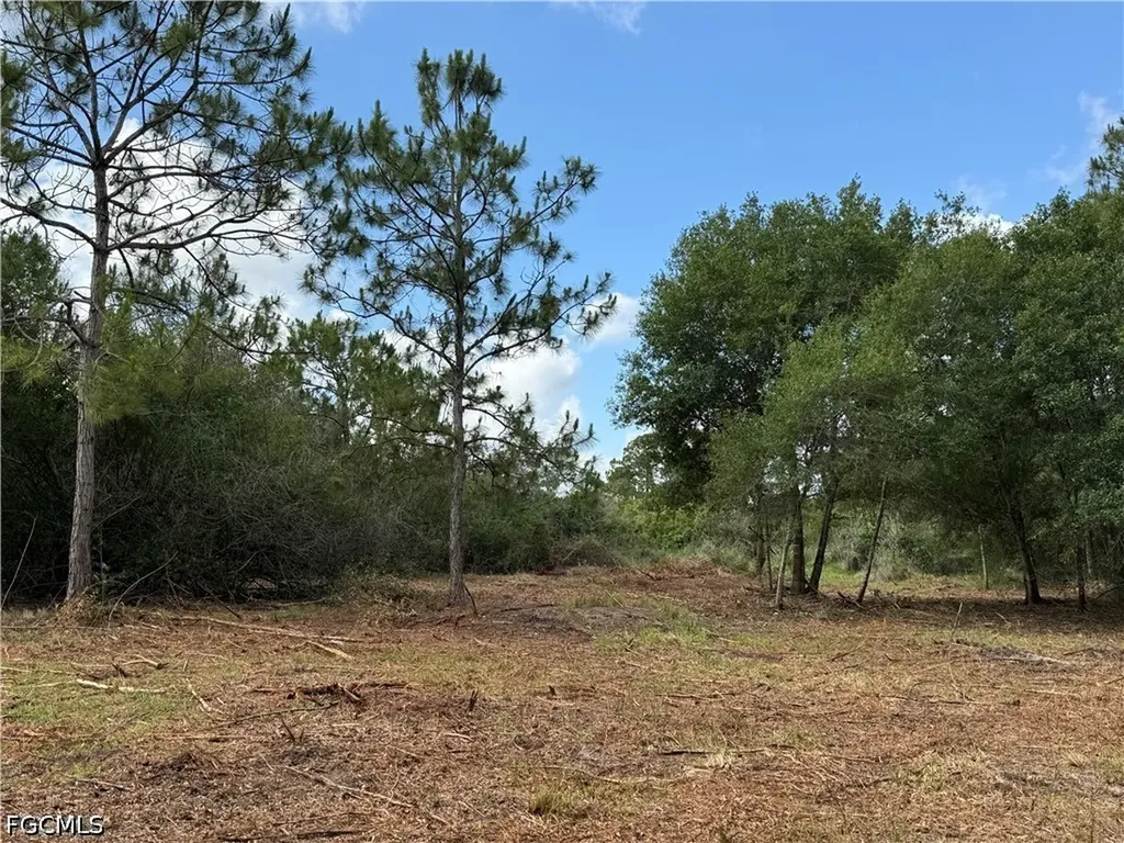 858 Woodland Boulevard Clewiston FL 33440
