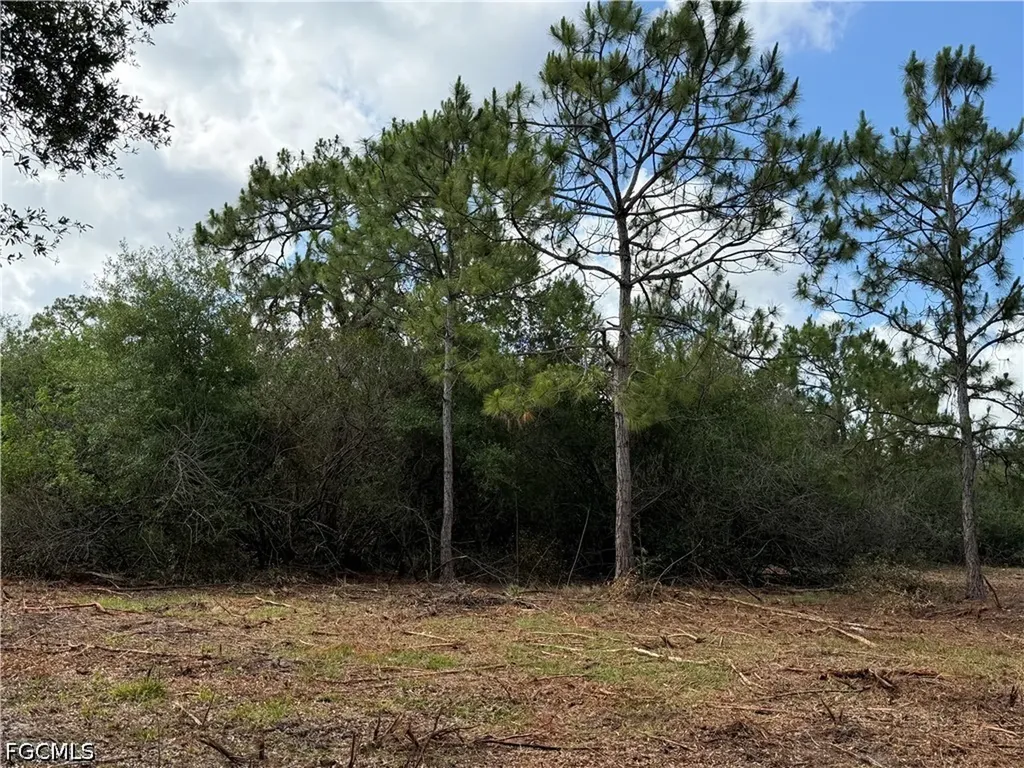 858 Woodland Boulevard Clewiston FL 33440