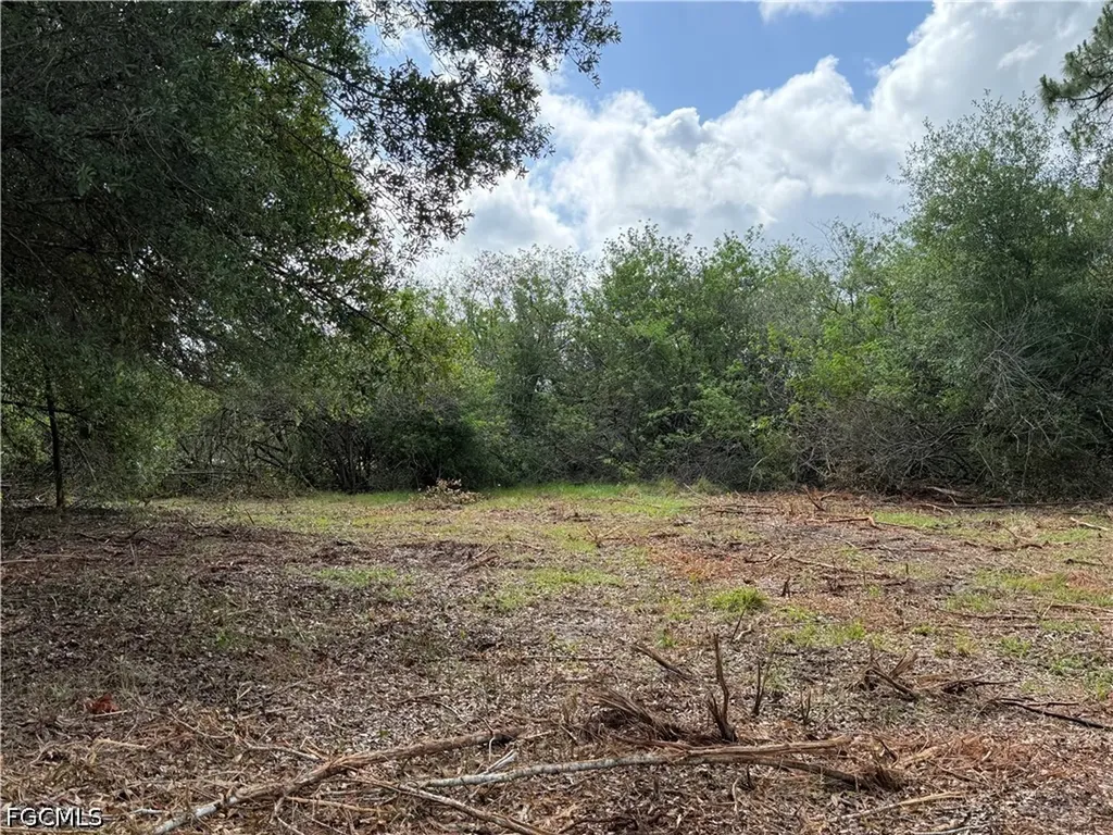 858 Woodland Boulevard Clewiston FL 33440