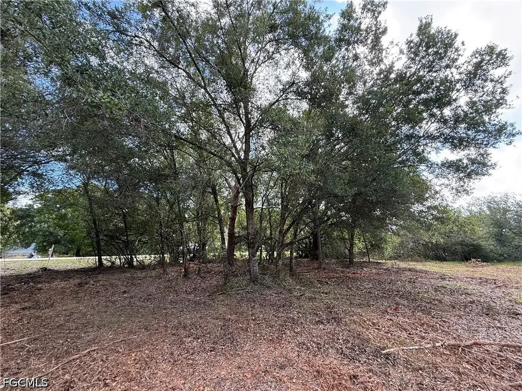 858 Woodland Boulevard Clewiston FL 33440