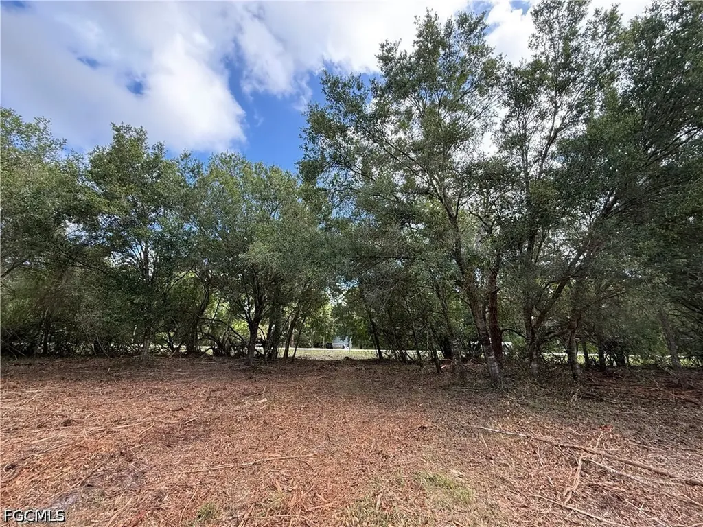 858 Woodland Boulevard Clewiston FL 33440