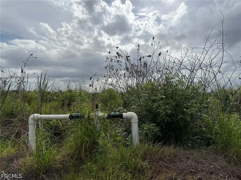 6658 + 6680 4th Road Labelle FL 33935