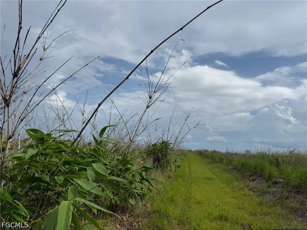 6658 + 6680 4th Road Labelle FL 33935