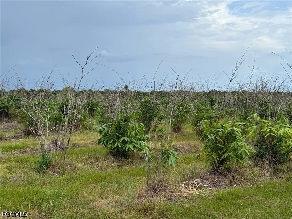 6658 + 6680 4th Road Labelle FL 33935