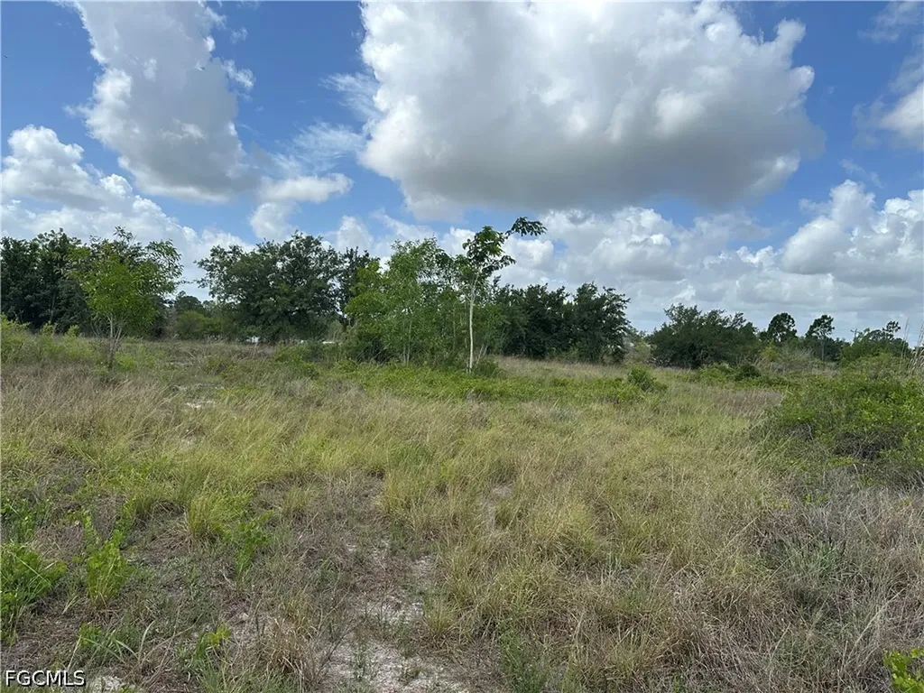 908 Panda Drive Lehigh Acres FL 33974